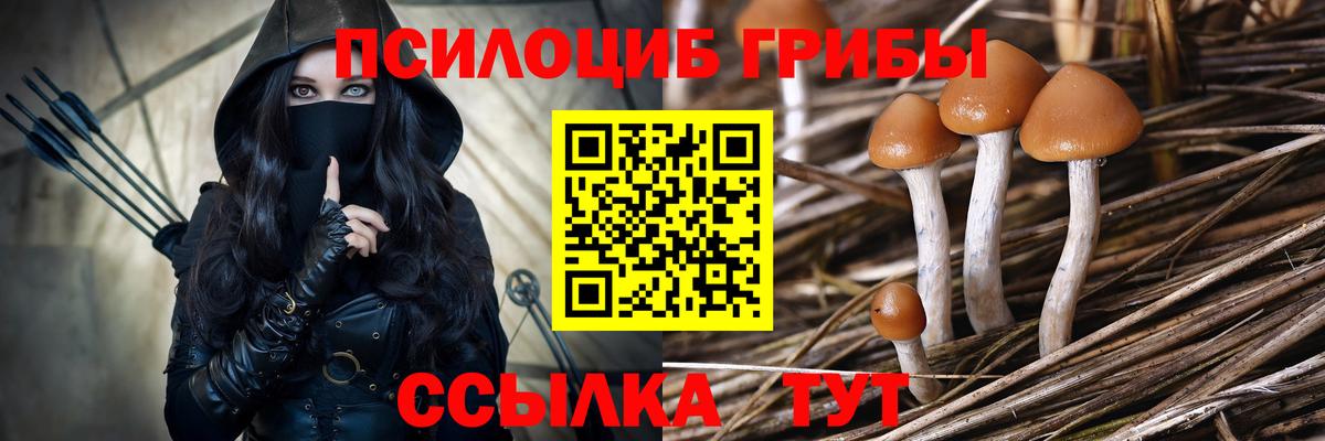 Псилоцибиновые грибы мицелий Спасск-Дальний